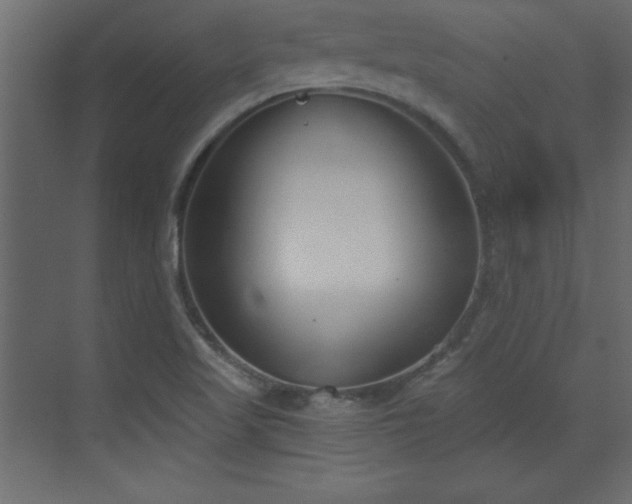 X0000073481509200607311147