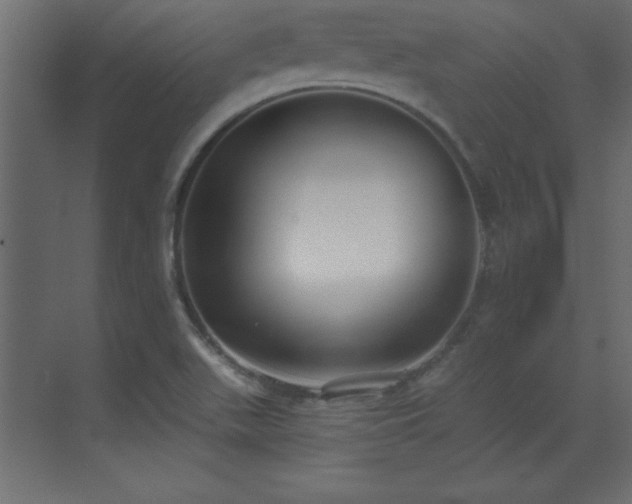 X0000073481511200607311147