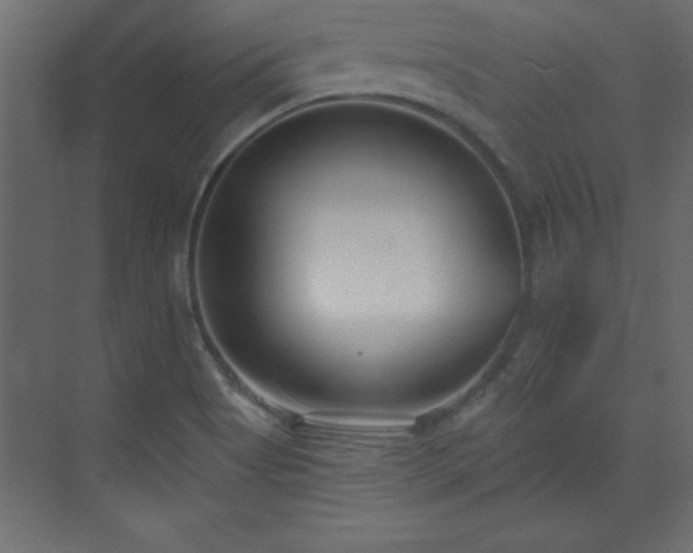 X0000073481513200607311147