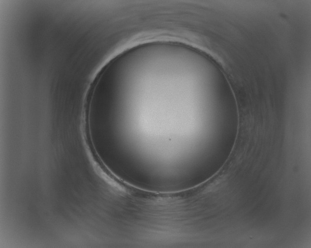 X0000073481518200607311147