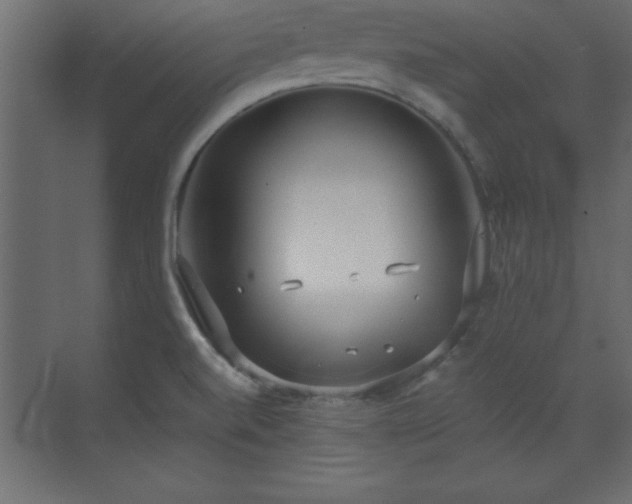 X0000073481520200607311147