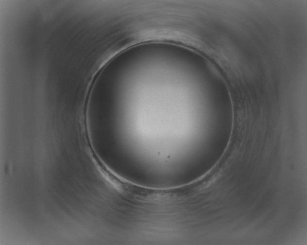 X0000073481521200607311147