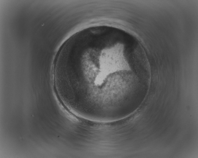 X0000073481522200607311147