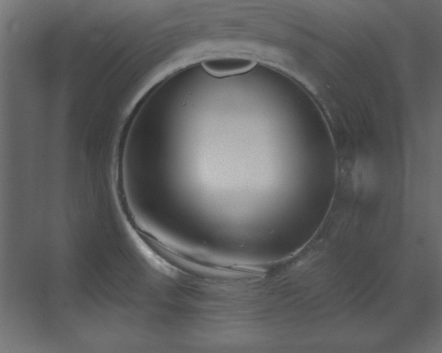 X0000073481523200607311147