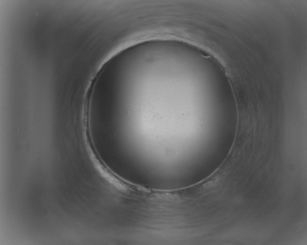 X0000073481526200607311147