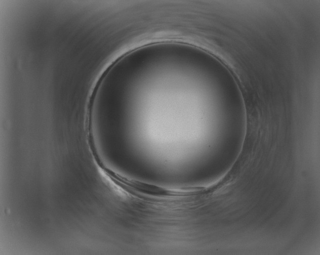 X0000073481527200607311147