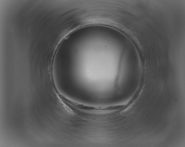 X0000073481529200607311147