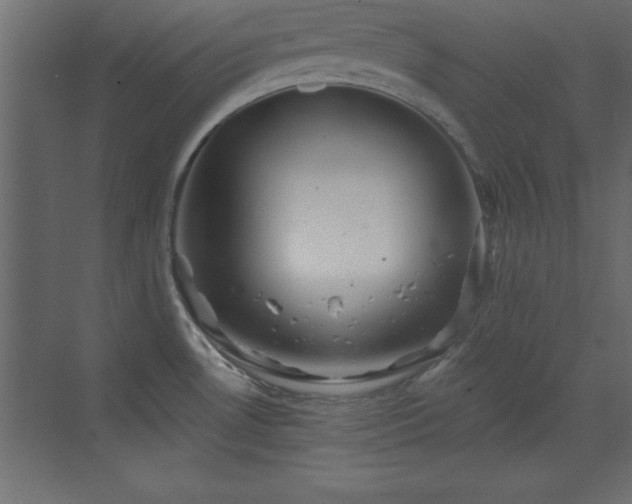 X0000073481530200607311147