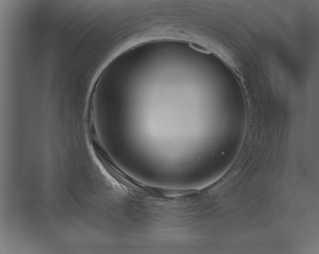 X0000073481536200607311147