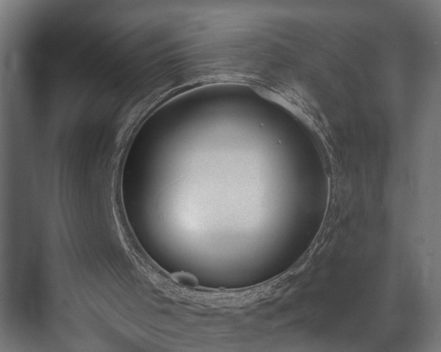 X0000073480001200608071033