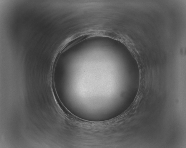 X0000073480003200608071033