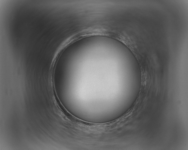 X0000073480004200608071033