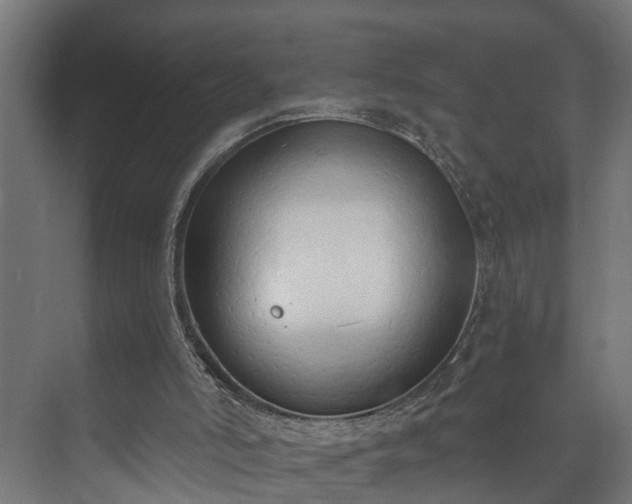 X0000073480006200608071033