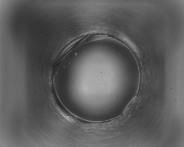 X0000073480009200608071033