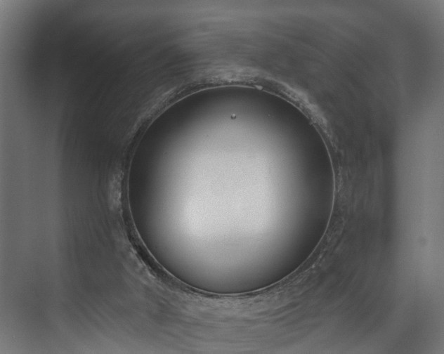 X0000073480010200608071033