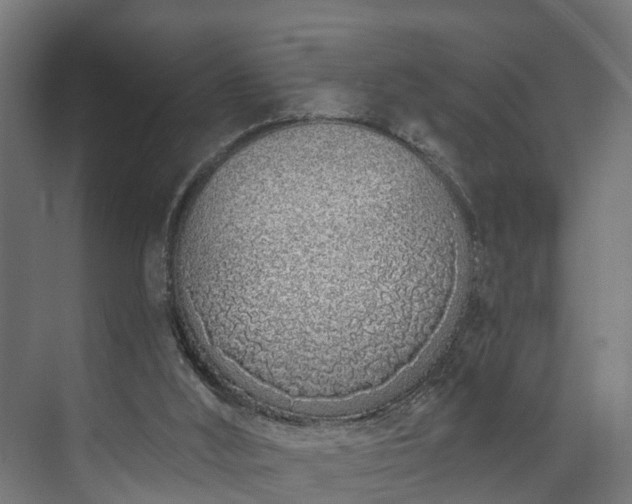 X0000073480012200608071033