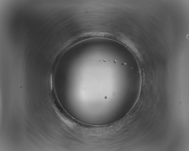 X0000073480013200608071033