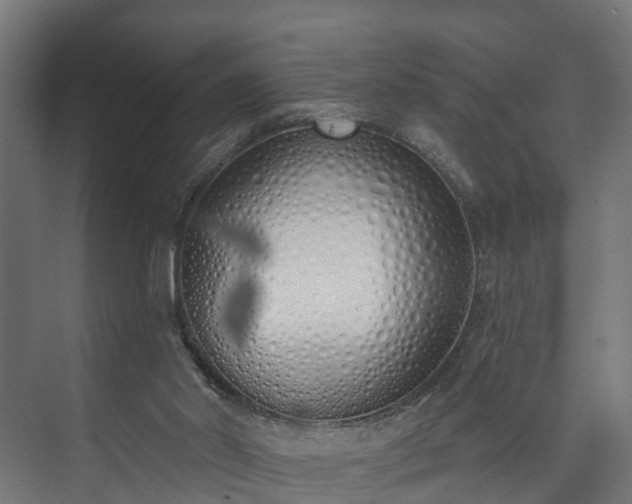 X0000073480014200608071033