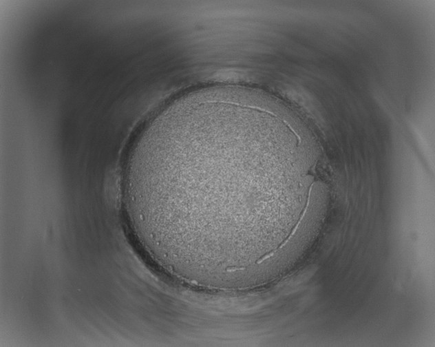 X0000073480016200608071033