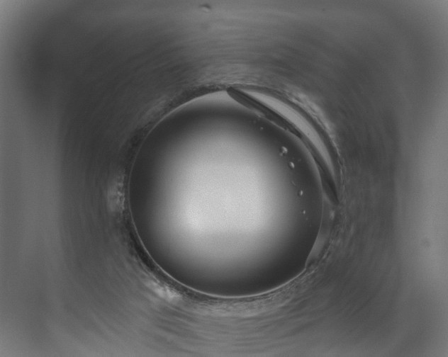 X0000073480017200608071033