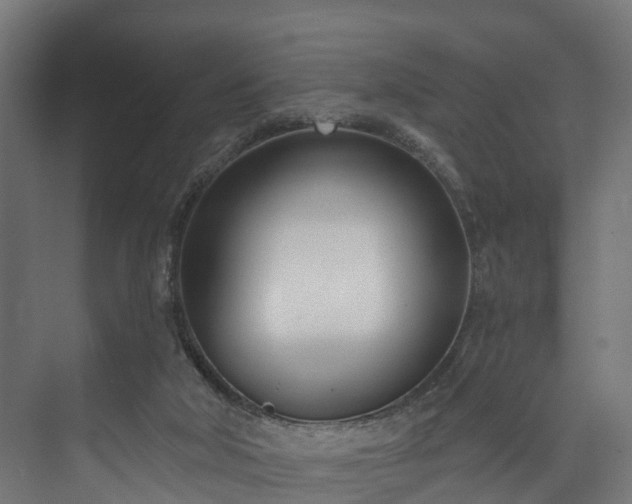 X0000073480018200608071033