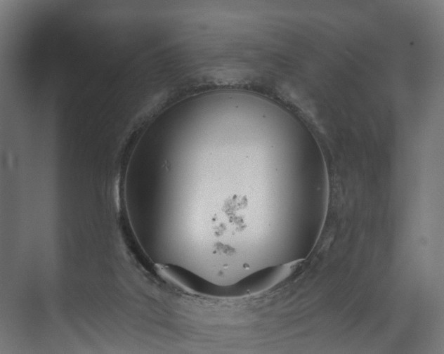 X0000073480019200608071033