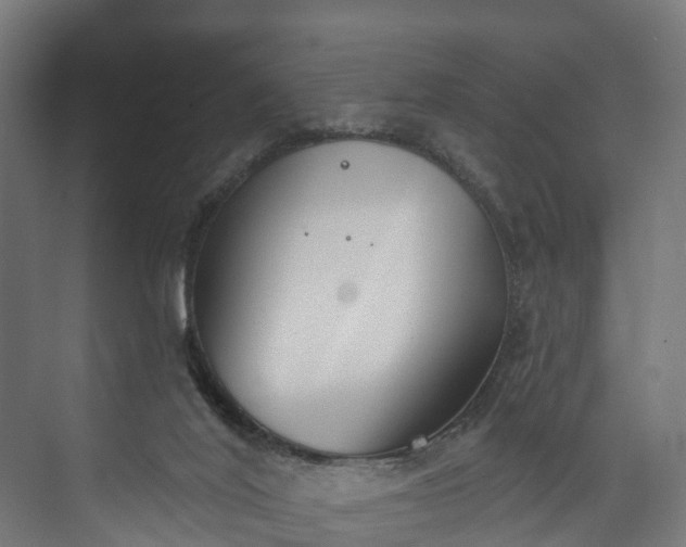 X0000073480020200608071033