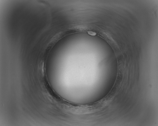 X0000073480024200608071032