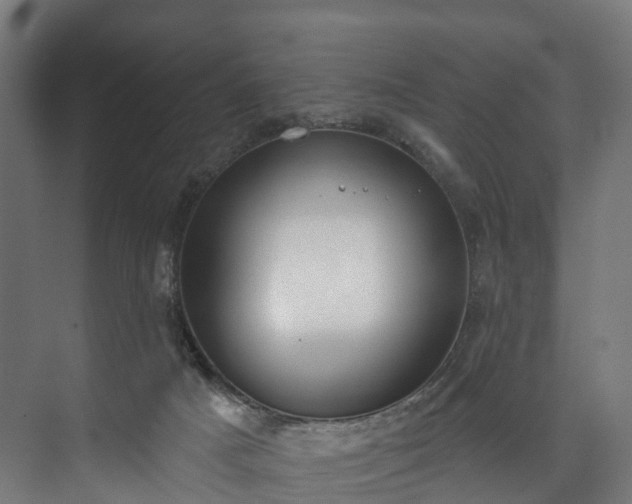 X0000073480025200608071032