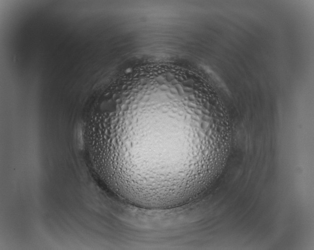 X0000073480026200608071032