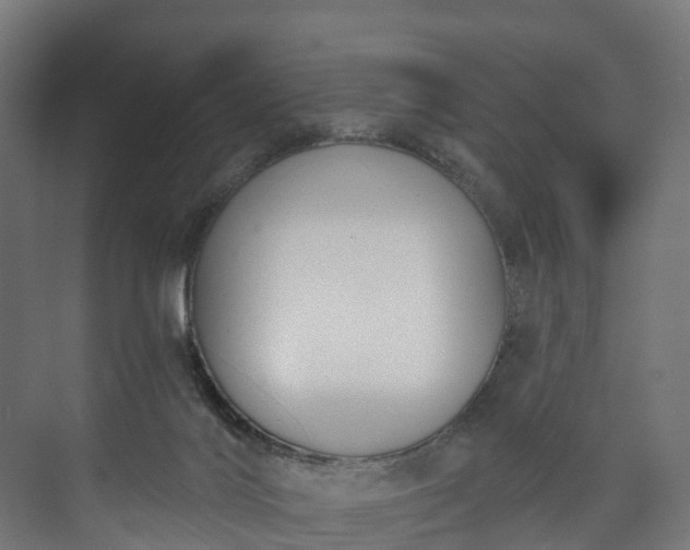 X0000073480028200608071032