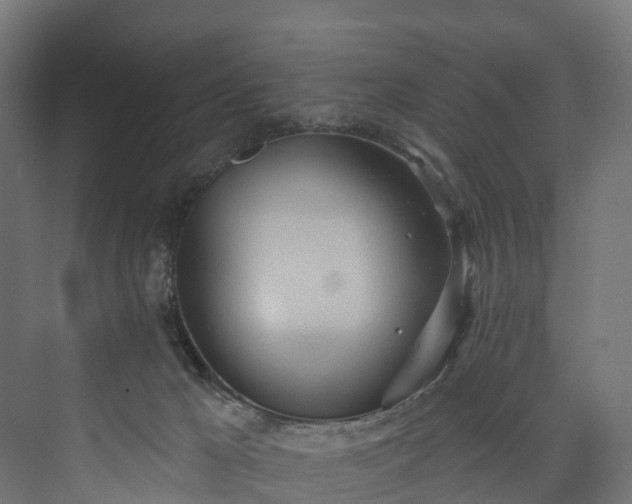 X0000073480029200608071032