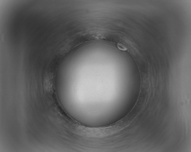 X0000073480030200608071032