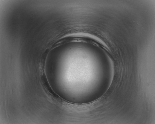 X0000073480031200608071032