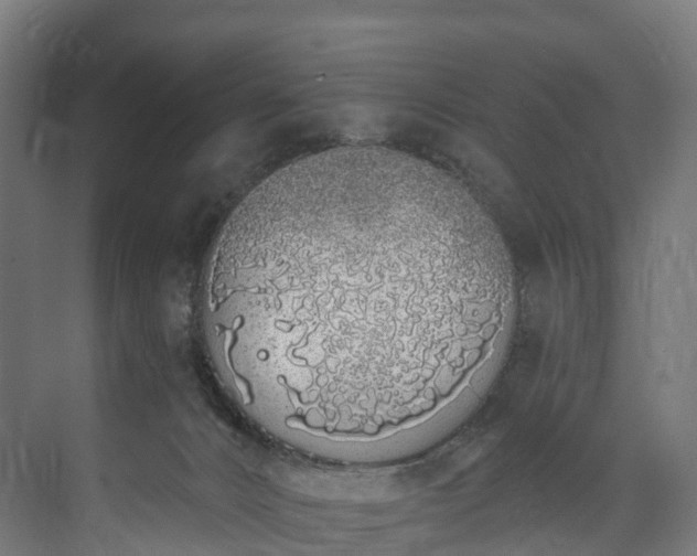 X0000073480032200608071032