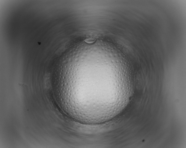 X0000073480034200608071032