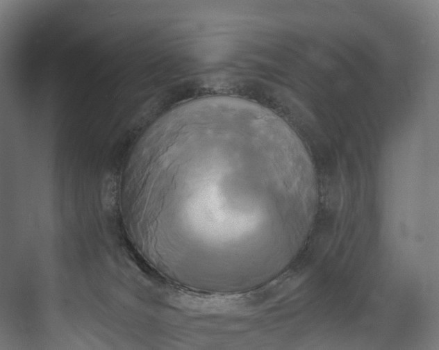 X0000073480036200608071032