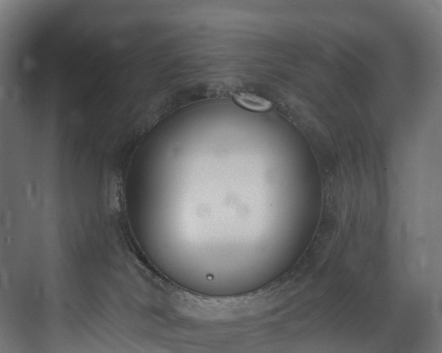 X0000073480038200608071032