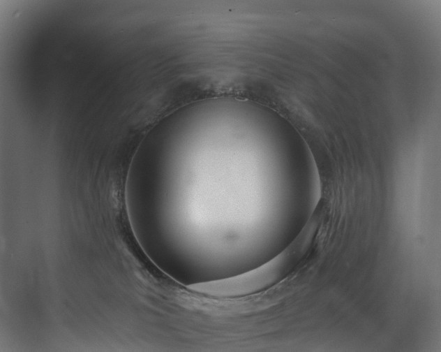 X0000073480039200608071032