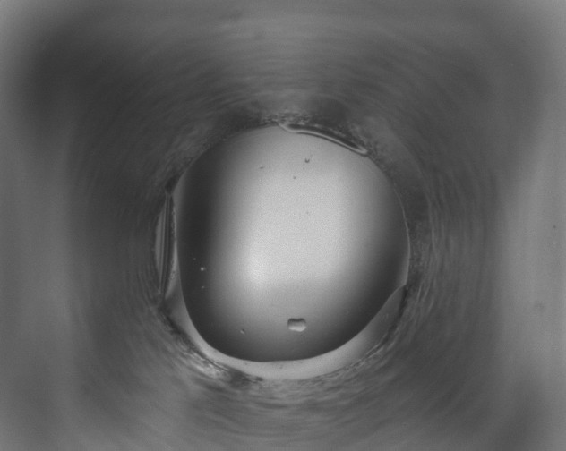 X0000073480041200608071032