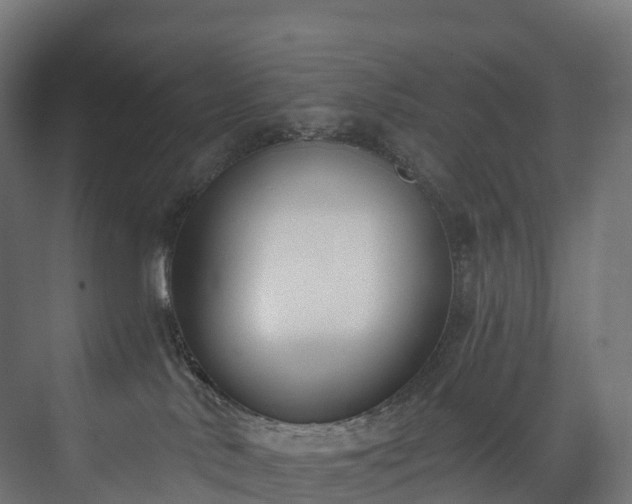 X0000073480042200608071032