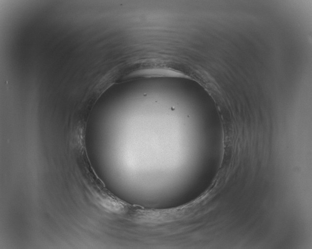 X0000073480045200608071032