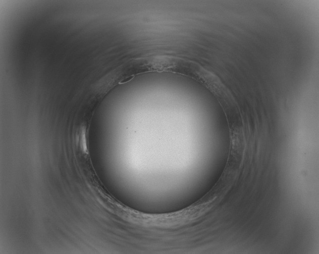 X0000073480046200608071032