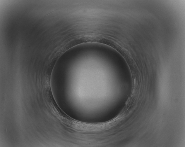 X0000073480048200608071032