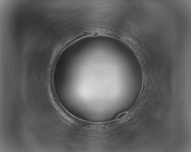 X0000073480049200608071031