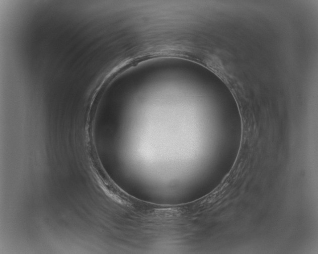 X0000073480050200608071031