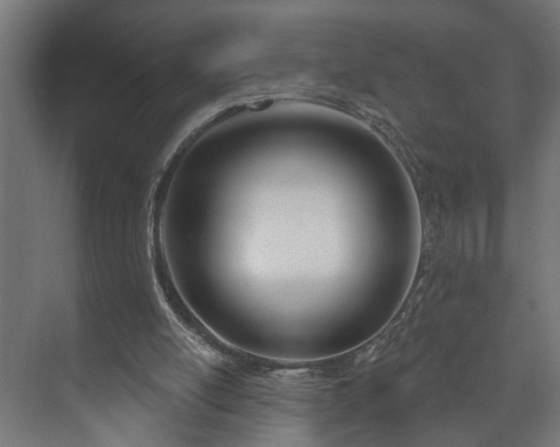 X0000073480054200608071031