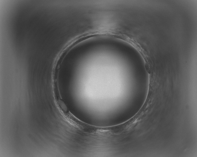 X0000073480055200608071031