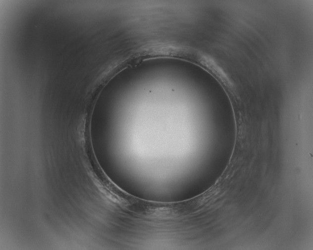 X0000073480058200608071031