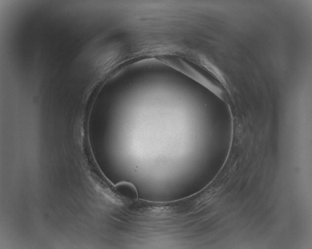 X0000073480059200608071031